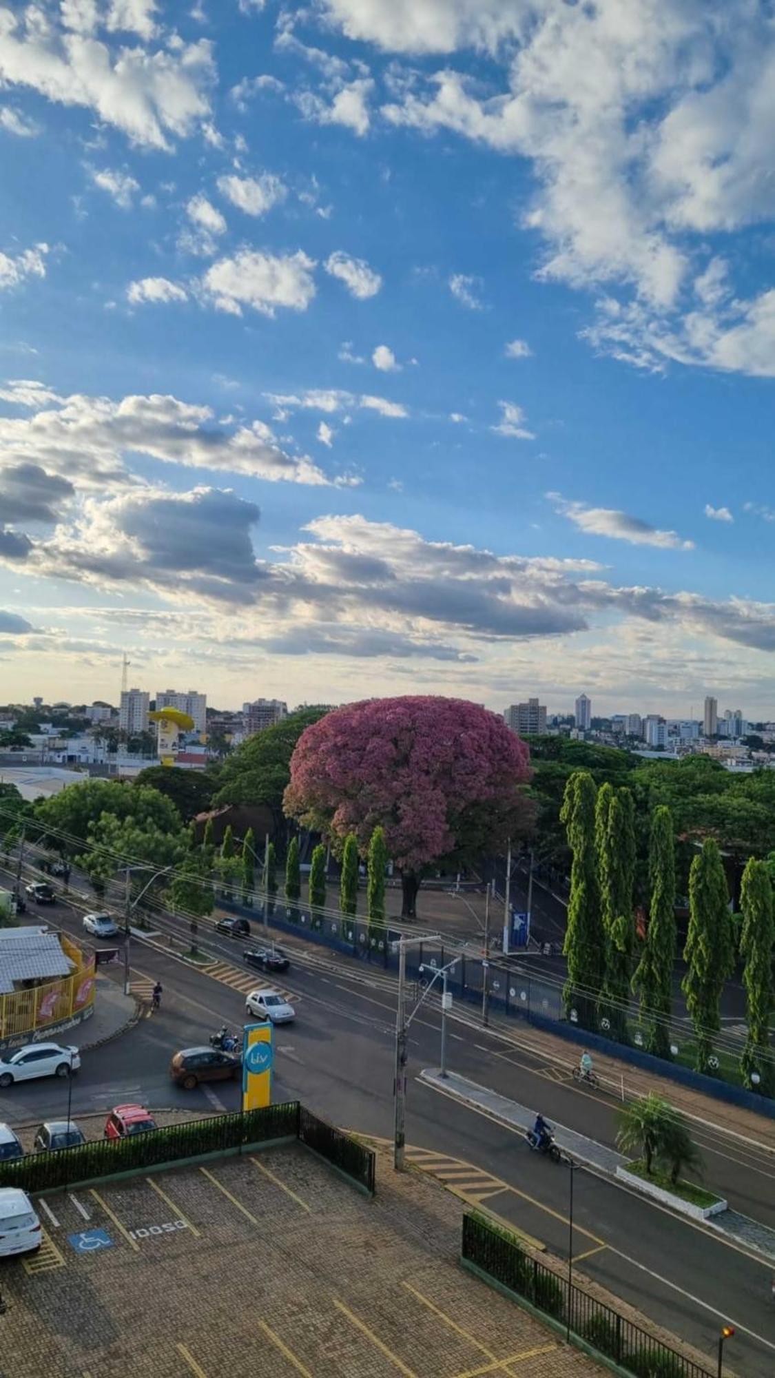 Hotel Golden Park Uberaba By Nacional Inn Habitación foto